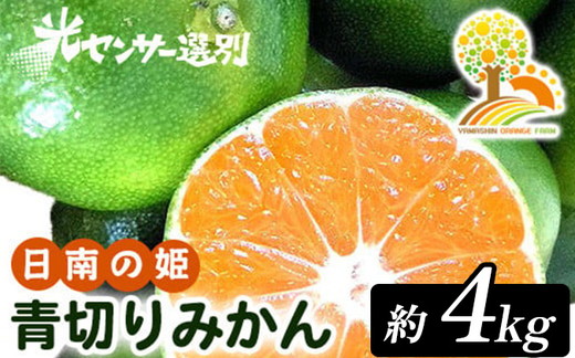 こだわりの青切りみかん 約4kg 農家直送 有機質肥料 100% サイズ混合 ｜ みかん 柑橘 果物 くだもの 果実 フルーツ 和歌山 有田 ※北海道・沖縄・離島への配送不可 ※2025年9月下旬～10月上旬頃に順次発送予定