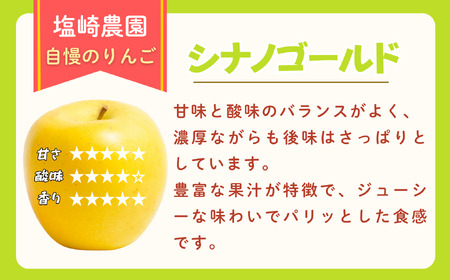 【訳あり】 りんご シナノゴールド 約10kg（22～40玉）【2026年10月下旬より発送 先行予約】At-025
