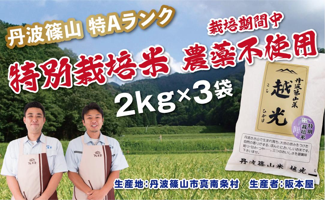 
                  【特Aランク 農薬完全不使用】令和7年産 丹波篠山産 特別栽培米 コシヒカリ 小分け 2kg × 3袋 計6kg 〈食味値83点以上〉精米したて 農薬不使用 阪本屋 兵庫県 丹波篠山市 こしひかり 米 精米 白米
                