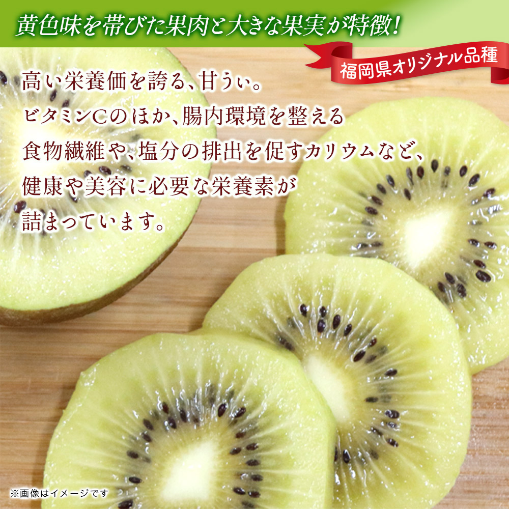 【先行受付：2025年11月頃発送開始】 福岡限定品種キウイ「甘うぃ」約1.8kg