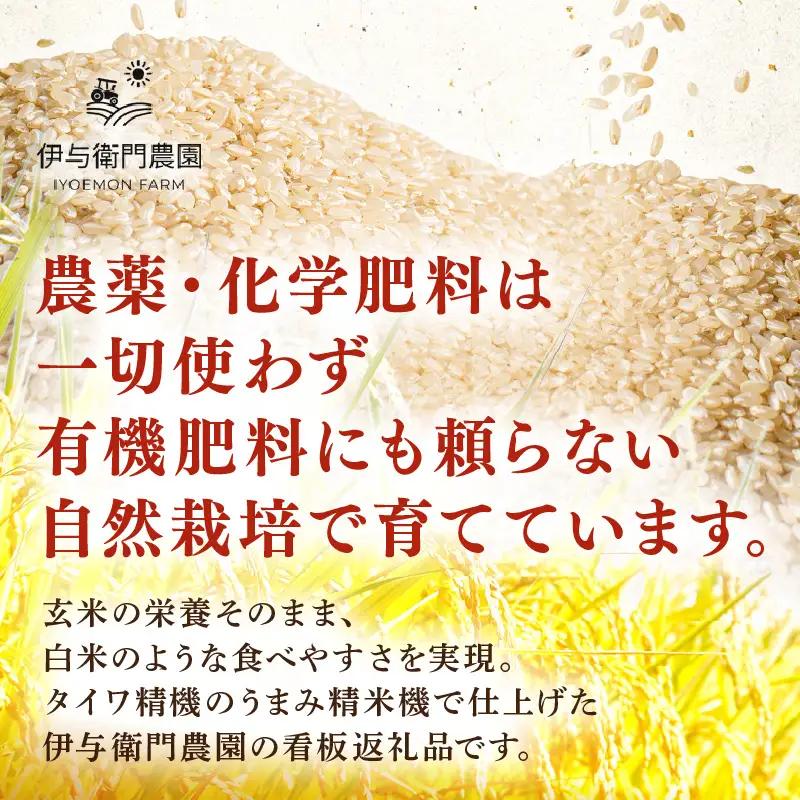 【先行予約】【令和8年産】定期便 ≪12ヶ月連続お届け≫ 自然栽培米コシヒカリ うまみ玄米5kg×12回（計60kg） 化学肥料不使用  ＜温度と湿度を常時管理し新鮮米を出荷！＞／ 高品質 鮮度抜群 
