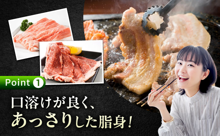 バラエティセット約3,600g (肩ロース・バラ・小間切れ・豚トロ 各900g)  広島県福山市/日本畜産株式会社 豚肉 ぶたにく こま切れ ロース しゃぶしゃぶ 小分け [BAER077]