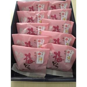 梅どら　10個入り×1箱【1604431】