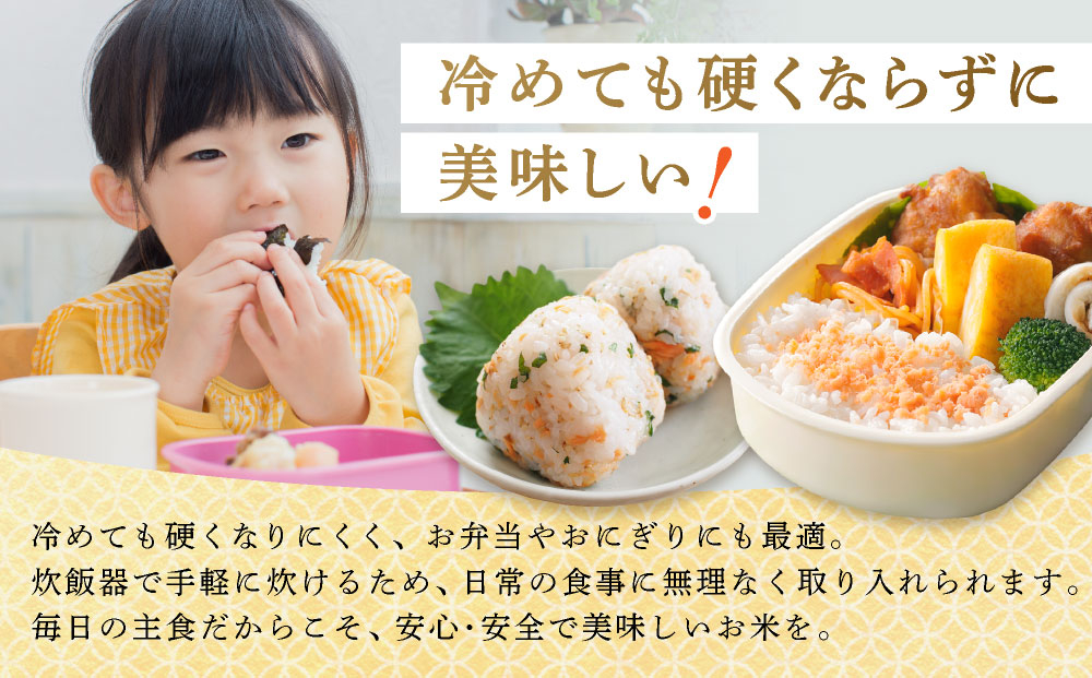 ＜先行予約＞【6回定期便】令和8年産 ななつぼし 精米 5kg｜生産者直送 北海道伊達産 北海道 ブランド米【tkk-023_06】