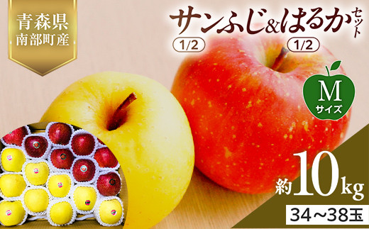 青森県産 サンふじ(1/2)・はるか(1/2)セット Mサイズ 10kg (各5kg) 【佐々木あきおはるこ農園】 青森りんご リンゴ 林檎 アップル あおもり 青森県 南部町 三戸 果物 くだもの フルーツ おすすめ F21U-572