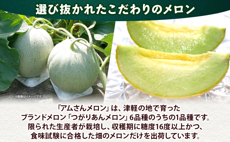 青森県産 つがりあんメロン 「アムさん」 2Lサイズ 2玉 完熟