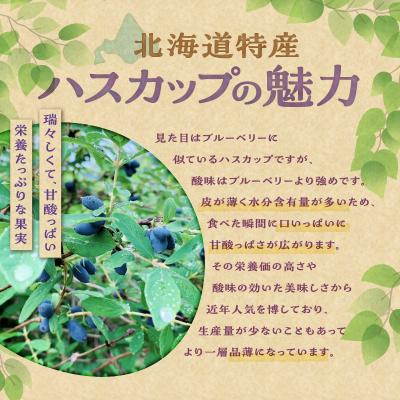ふるさと納税 清水町 【2026年発送先行受付!】とかちしみずフルーツガーデンのハスカップ&ラズベリーセット |  | 01