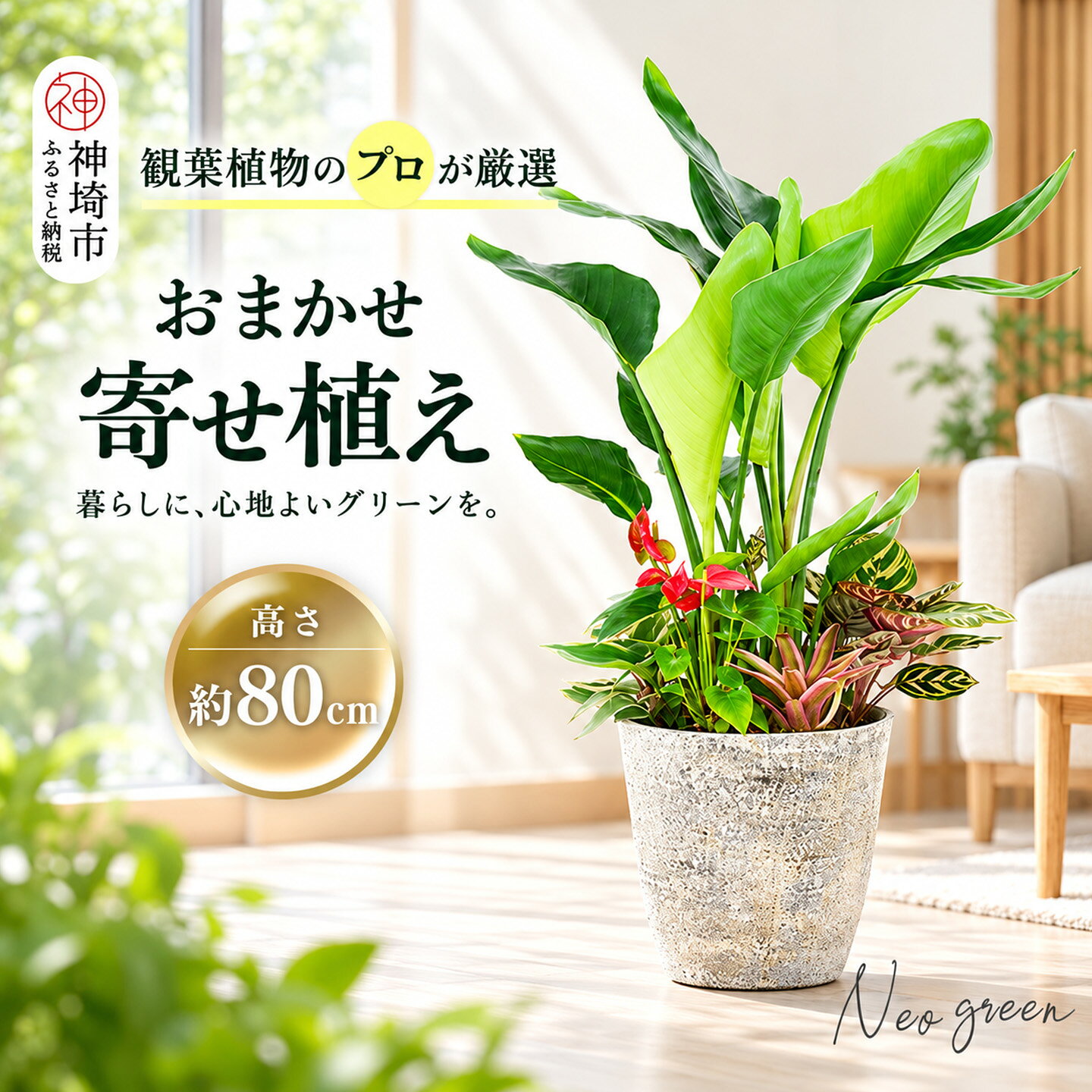 【ふるさと納税】オリジナルアレンジ観葉植物　Lサイズ【寄せ植え インテリア リビング 室内 グリーン 植物 癒し リフレッシュ】 (H086106)