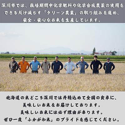 ふるさと納税 深川市 【令和7年産先行受付】北海道深川産ゆめぴりか10kg(5kg×2袋)(普通精米) |  | 01