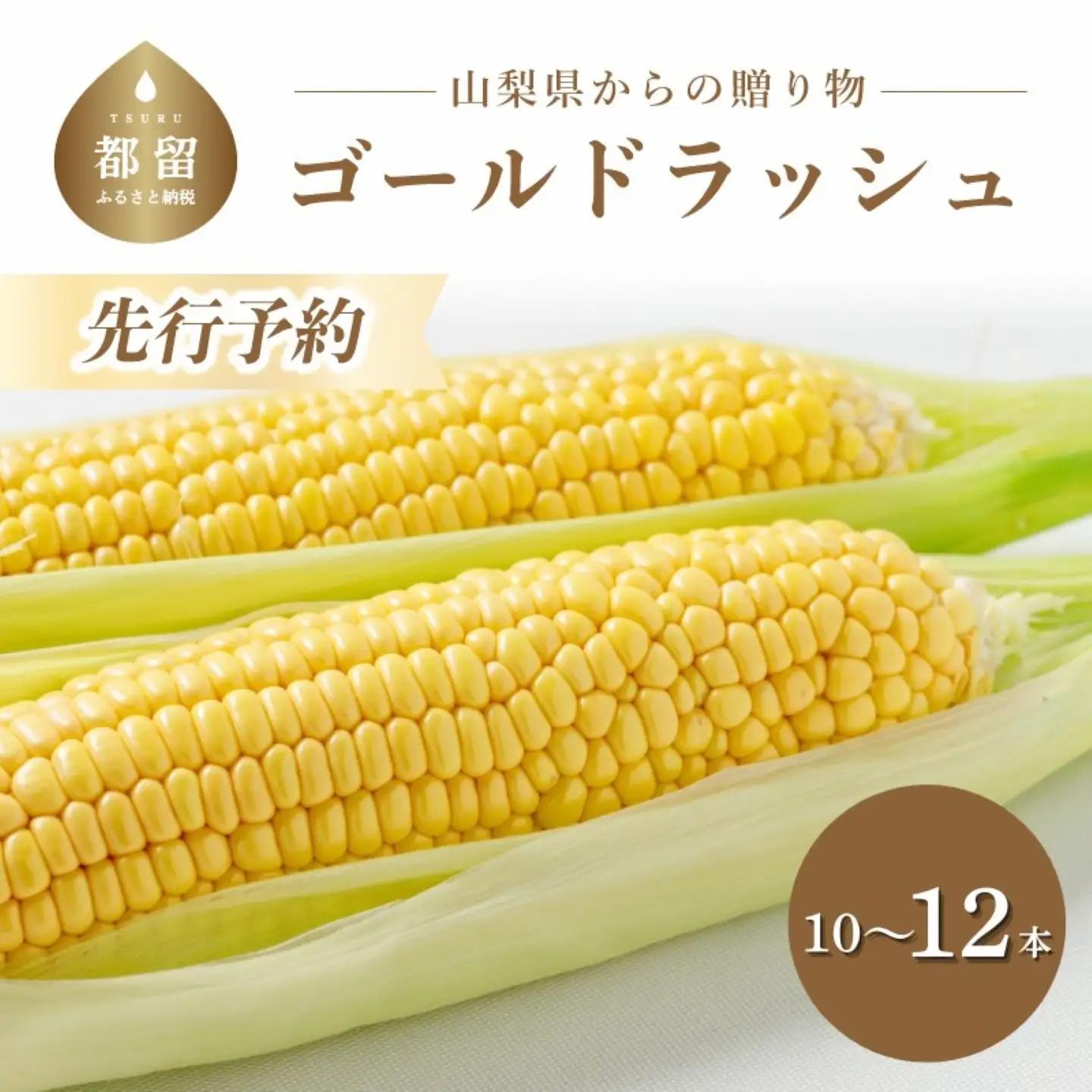 【2026年先行予約】山梨県都留市産 とうもろこし　ゴールドラッシュ10本～12本 ｜とうもろこし
