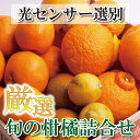 【ふるさと納税】厳選 柑橘詰合せ 1.5kg+45g（傷み補償分） 3kg+90g（傷み補償分）【有田の春みかん詰め合わせ・フルーツ詰め合せ・オレンジつめあわせ】【光センサー選別】＜2025年1月〜4月下旬ごろに順次発送＞ / みかん 果物 フルーツ オレンジ ミカン 柑橘 和歌山 セット