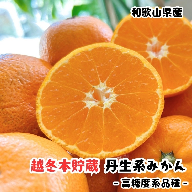 
            越冬本貯蔵 丹生系 みかん 5kg【先行予約】【高糖系みかん】
          