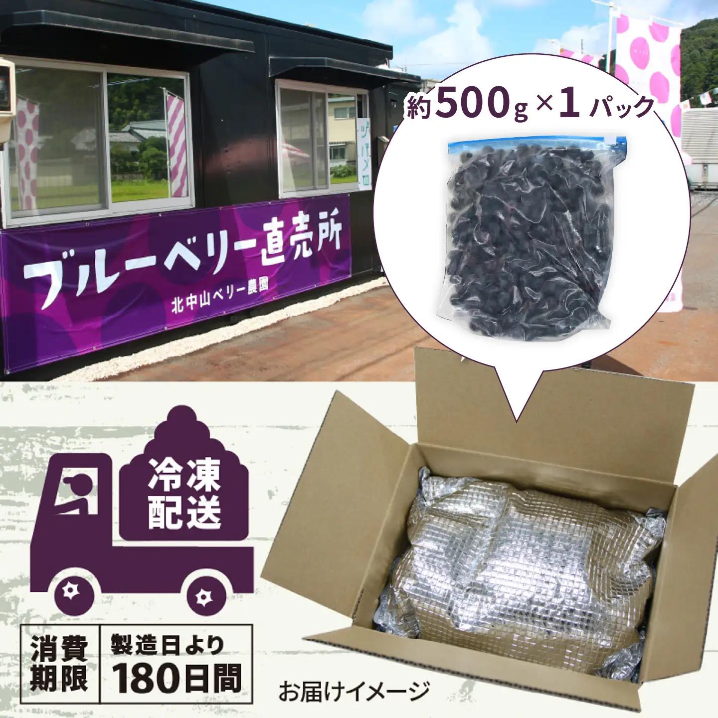 【訳あり】令和8年産〈冷凍〉手摘み有機ブルーベリー500g（500g × 1パック）果物 夏限定