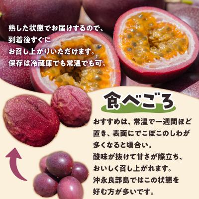 ふるさと納税 和泊町 【ご家庭用】山下農園のパッションフルーツ2キロ |  | 02