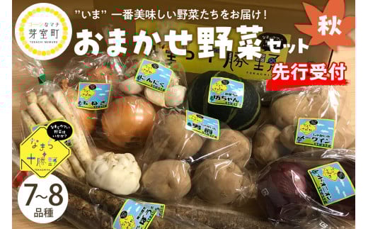 【先行受付】【2025年10月より配送】北海道十勝芽室町 なまら十勝野の季節のおまかせ野菜セット（秋） me001-004c