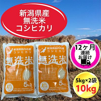 ふるさと納税 胎内市 【毎月定期便】【12ヶ月連続お届け】新潟県胎内市産コシヒカリ無洗米10kg(5kg×2袋)全12回 | 