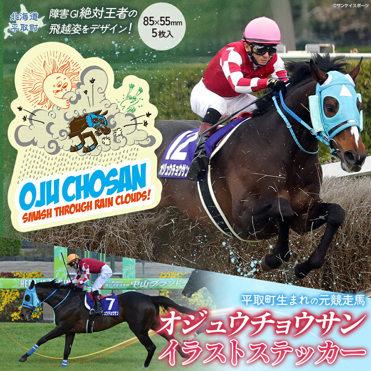 【ふるさと納税】【オジュウチョウサン】イラストステッカー5枚入り【 ふるさと納税 人気 おすすめ ランキング 馬 競馬 競走馬 オジュウチョウサン 北海道 平取町 送料無料】 BRTV018