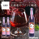 【ふるさと納税】 リキュール 12% 500ml×2本 北海道産 ワイン 梅酒 蜂蜜 ブレンド めんこい動物 すっきり お酒 酒 ラメ入り瓶 エゾモモンガ パッケージ 贈答 ギフト 贈り物 晩酌 北海道 札幌市