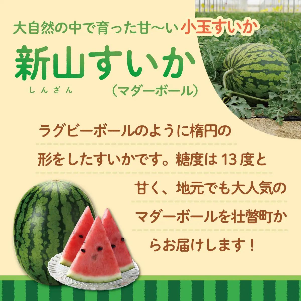 【ふるなびWEEK対象】＜2026年8月上旬よりお届け＞北海道壮瞥産　新山すいか 小玉すいか（マダーボール）Lサイズ2玉 スイカ SBTN002