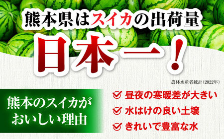 【先行予約】【数量限定】小玉すいか 2玉入（1玉 約3kg） 　【一般社団法人クラッシーノこうし】[AYAB056]