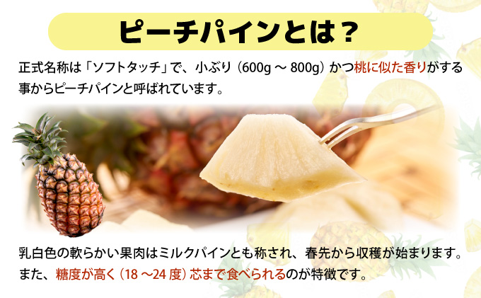 【2026年発送】リピータ続出！西表パイン園の蜜入り ピーチパイン 2kgセット