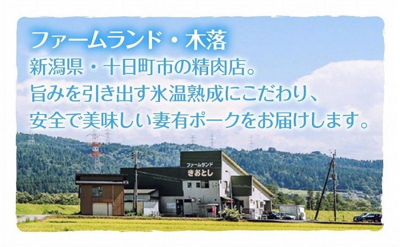 妻有ポーク ソーセージ 2種セット ビアソーセージ 100g×2個 チョリソー 100g×2個 つまり ポーク 豚肉 銘柄豚 豚 冷蔵 取り寄せ ギフト 送料無料 ファームランド木落 新潟県 十日町市