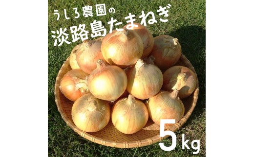 
                  淡路島 玉ねぎ 5kg  肉厚 中生 タマネギ 淡路島産 5キロ スープ ハンバーグ 肉じゃが ホイル焼き 野菜 サラダ うしろ農園 淡路 洲本市 [№5395-0549]
                