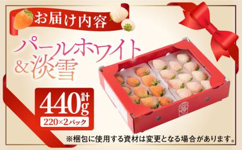 【先行予約】【産地直送】白石産 希少 白いちご「淡雪」＆「パールホワイト」食べ比べ セット【ハヤシだファーム】イチゴ [ICQ001]