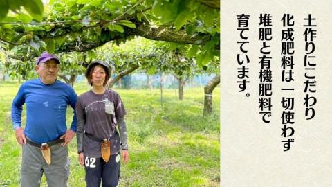 【先行予約】梨 豊水と恵水の食べ比べセット 約5kg (茨城県共通返礼品 かすみがうら市) （2024年9月中旬発送開始） 産地直送 久保田果樹園 [DH016sa]