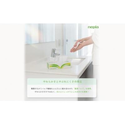 ふるさと納税 春日井市 【定期便】2回発送 (3か月おきに) ネピアティシュ 5箱×12パック |  | 02