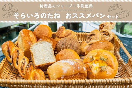 【そらいろのたね】手作りパンセット 詰め合わせ レーズン クロワッサン ジャージーミルク 木の実 チーズ クリーム セット 熊本 阿蘇 小国町 わいた 山川 人気 ハンドメイド 創業20年以上 老舗 ツリーハウス 冷凍 おすすめパンセット