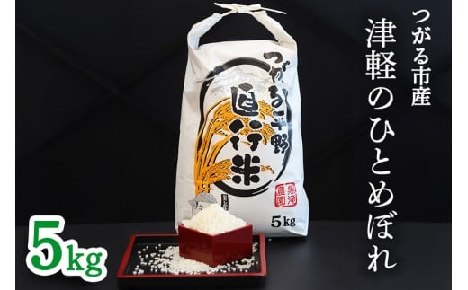 令和7年産 つがる市産「津軽のひとめぼれ」5kg｜2025年産 青森県 津軽 お米 白米 米 コメ こめ ひとめぼれ 精米 新米 [0896]