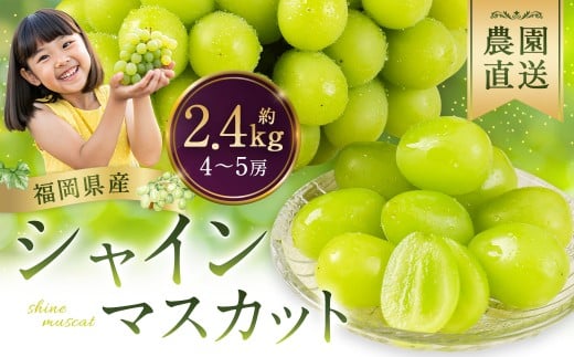 農園直送！ シャインマスカット 約2.4kg 4〜5房 【2026年9月上旬から10月上旬発送予定】 ぶどう マスカット 果物 フルーツ