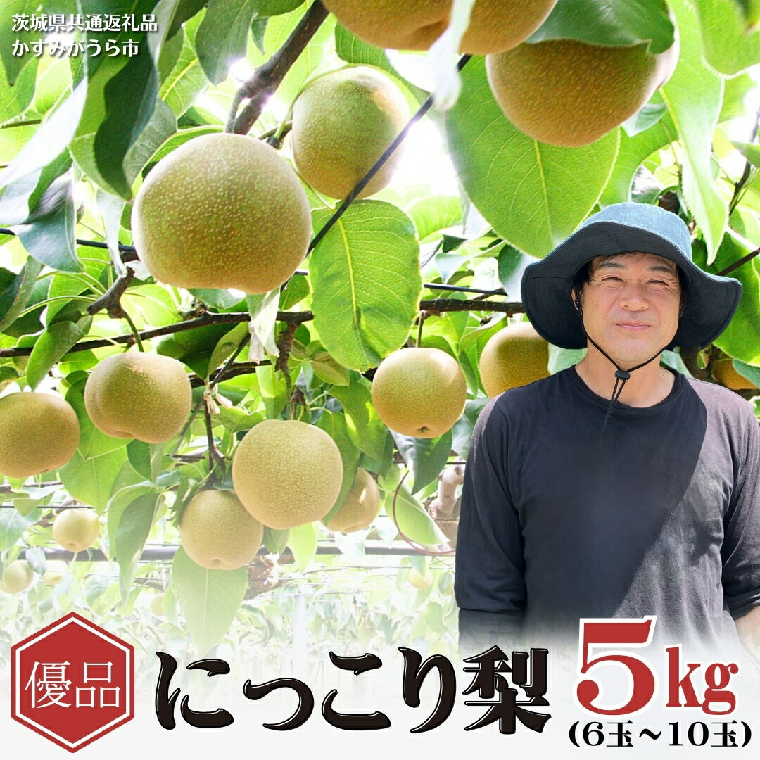【ふるさと納税】《先行予約》《2026年9月下旬から発送開始》《優品》 にっこり梨 5kg 6玉〜10玉（茨城県共通返礼品／かすみがうら市） 鈴木農園 産地直送 フルーツ 甘い 直送 茨城 限定 にっこり