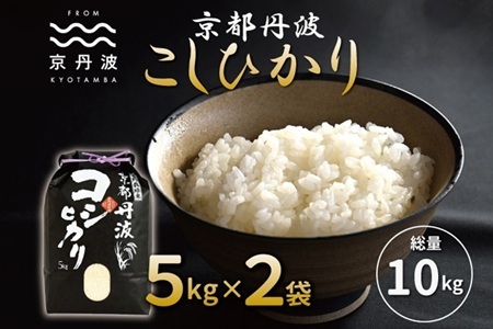 【京丹波の米】 京丹波こしひかり 10kg 令和8年産 【 京丹波産 米  白米 】   [015MB001]