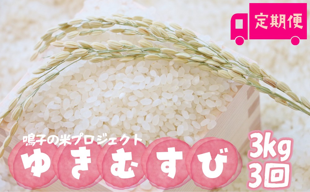 
                  鳴子の米プロジェクト ゆきむすび 3kg×3回 定期便【2025年産】 精米 ｜宮城県大崎市鳴子温泉産米
                