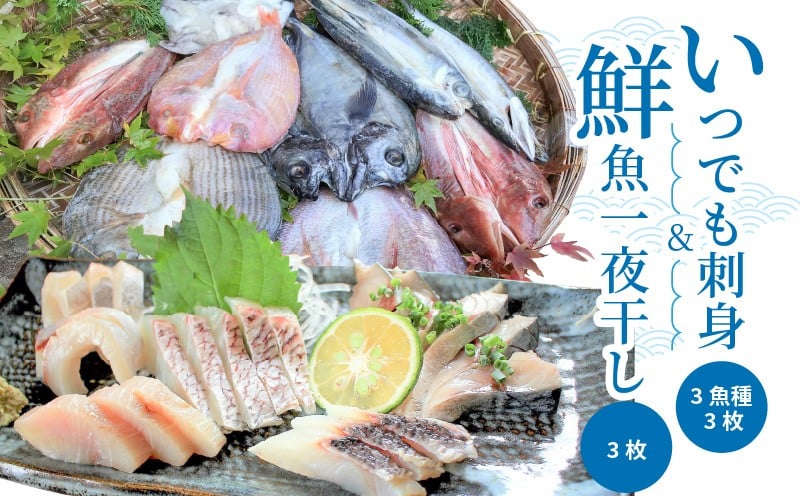 
S059-005_いつでも刺身 3魚種 3枚＆鮮魚一夜干し 3枚セット
