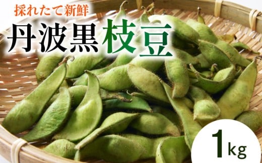 枝豆 1 kg 野菜 丹波黒 枝豆 枝豆 黒大豆 丹波黒 枝豆 旬 採れたて 産地直送 枝豆 おつまみ ヤサイ やさい 食材 新鮮 滋賀県 竜王町 送料無料 竜王産 