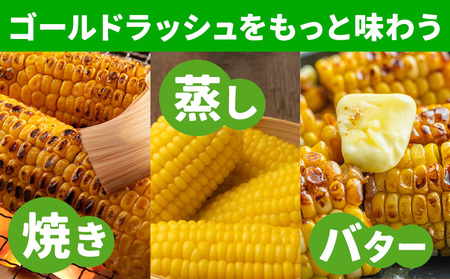 【先行予約】とうもろこし約4kg老沼利治《6月中旬-7月中旬頃出荷》とうもろこしスイートコーン