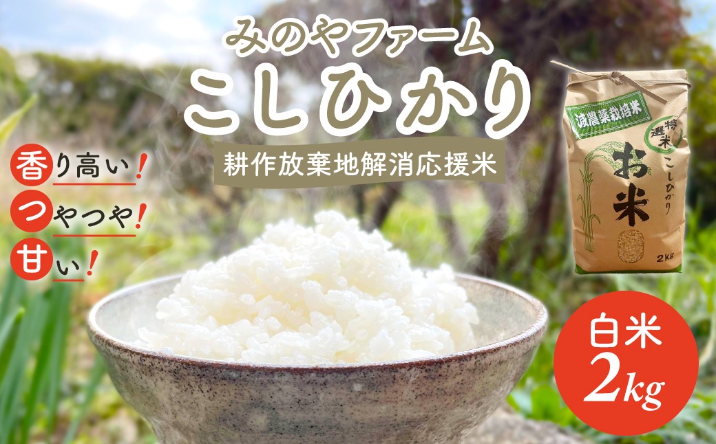 
            令和7年産新米 こしひかり 2ｋｇ（白米） みのやファーム 耕作放棄地解消応援米  【 コシヒカリ こしひかり おいしい お米 米 こめ 自然栽培 贈り物 ギフト 千葉県 御宿町 人気 おすすめ ランキング 】 ONJF001
          