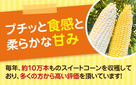 農家直送 朝どれ スイートコーン 白 黄 食べ比べ セット 約4kg （９-12本入り）《豊前市》【湯越農園】 野菜 コーン[VBC002] とうもろこし とうもろこし スイートコーン とうもろこし 