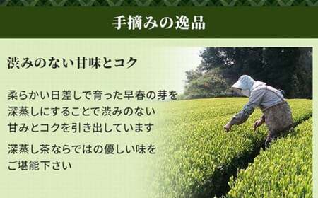 【綾菱缶】学生さん達と考えた 深蒸し茶 ギフトセット！ 絵柄が選べる200g缶 （200g×2缶 計400g）！ センスが光る オシャレな 茶缶 セット！ お茶 茶缶 緑茶 深蒸し茶 静岡緑茶 日本茶