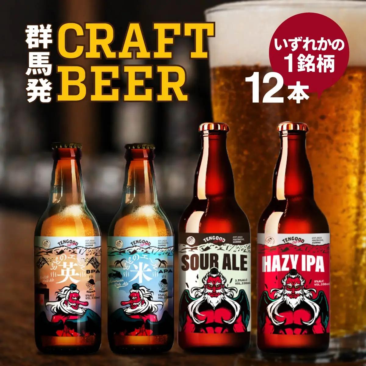 ビール 同一銘柄12本 テングビール