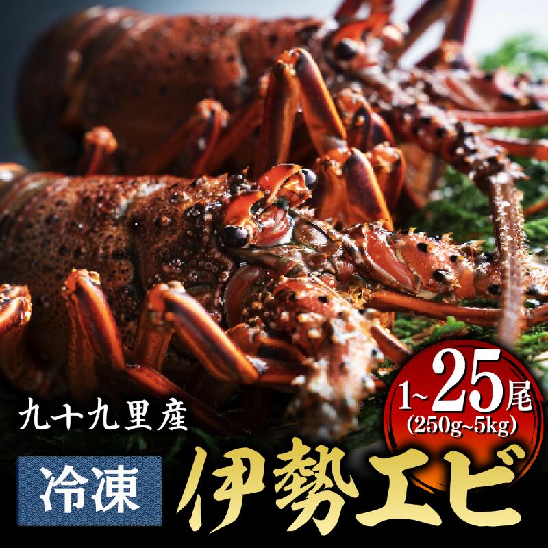 【ふるさと納税】 甘い ! 旨い ! 活け〆 リキッド 冷凍 伊勢海老 (刺身用) 選べる【約250g/1尾入り】250g～【約250g/15～25尾】 5kg イセエビ エビ プリプリ 急速冷凍 瞬間冷凍 冷凍 真空個装 真空パック 刺身 生食用 魚介 新鮮 高級 人気 お祝い ギフト 不動丸 千葉県 旭市
