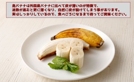 【鹿児島県天城町】【2025年発送】徳之島 子宝バナナ 1.5kg 島バナナ バナナ AL-6-N