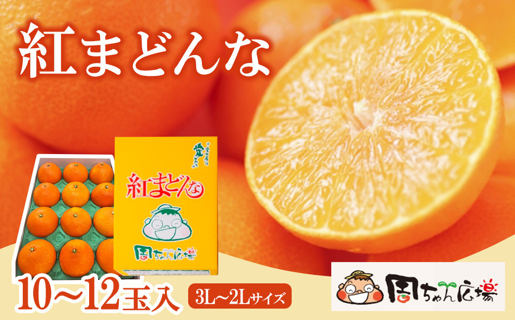 
            紅まどんな  3㎏ 10～12玉入（3L～2Lサイズ） 周ちゃん広場より発送 化粧箱 愛媛県西条市 【先行予約】 【12月発送】｜ 紅まどんな 愛媛 青秀 マドンナ みかん 果物 フルーツ ジューシー 甘い 高級 おすすめ 人気 お取り寄せ 愛媛県産 西条市産 送料無料 【オンライン決済限定】
          
