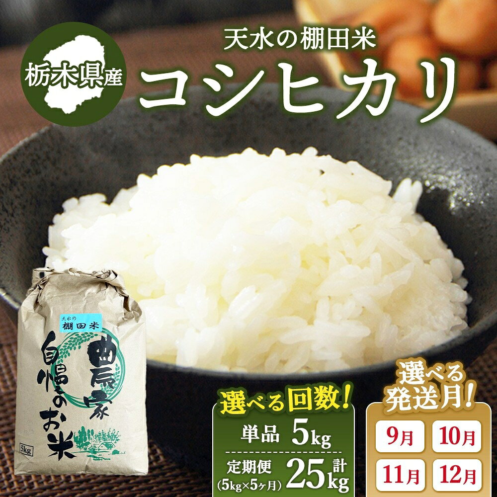 【ふるさと納税】【配送月・回数が選べる】天水の棚田米 コシヒカリ 5kg ｜ 先行予約 定期便 5ヶ月 栃木県
