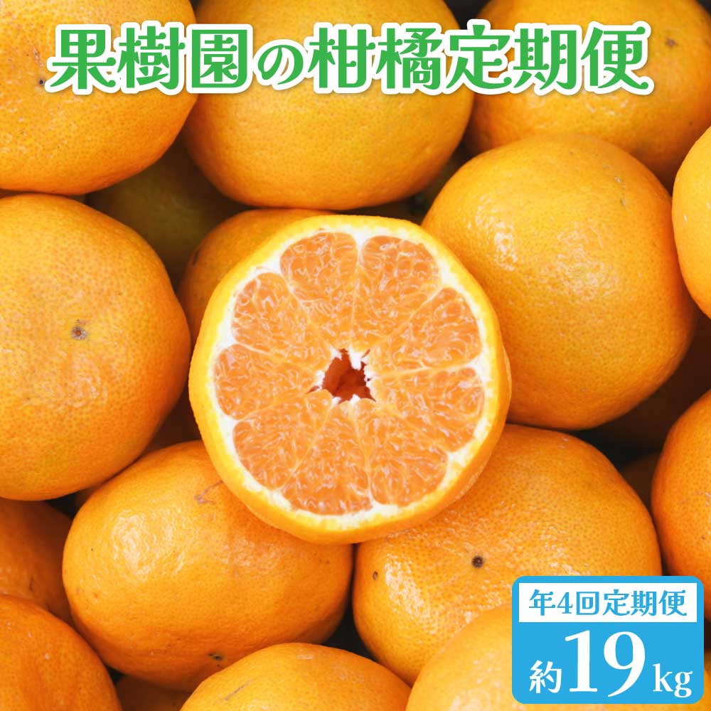 【ふるさと納税】【先行予約】年4回 果樹園の柑橘定期便 合計 19kg ポンカン ぽんかん 椪柑 みかん ミカン 蜜柑 不知火 極早生 早生 くだもの フルーツ 果物 宇城市産 熊本県産 九州産 国産 送料無料 【2026年1月下旬から順次発送予定】