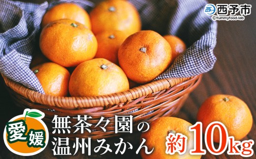 【先行予約】＜無茶々園 温州みかん 約10kg＞ 果物 くだもの ミカン 蜜柑 柑橘 フルーツ うんしゅうみかん 選べる内容量 贈り物 ギフト おいしい 期間限定 季節限定 食べて応援 特産品 愛媛県 西予市 【常温】