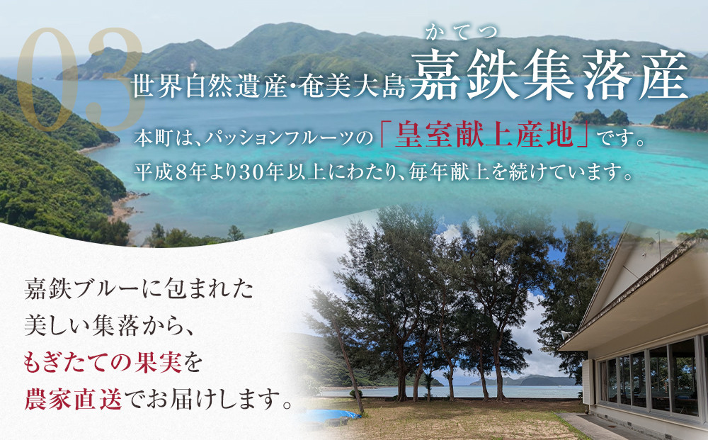 期間限定【農薬不使用】奄美大島 完熟パッションフルーツ約1kg（農家直送）